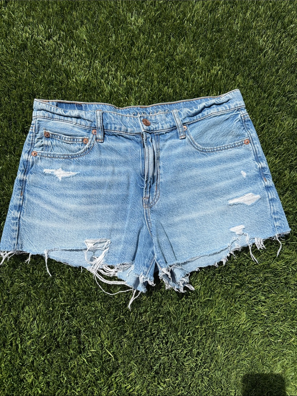 American Eagle Outfitters Light Wash Distressed Denim Cutoff Shorts